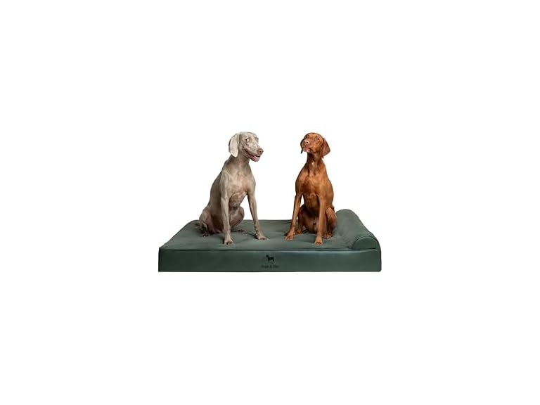 NOAH & PAW CL-LE-GR-XXL XXL NOAH & PAW Dog Bed - Class