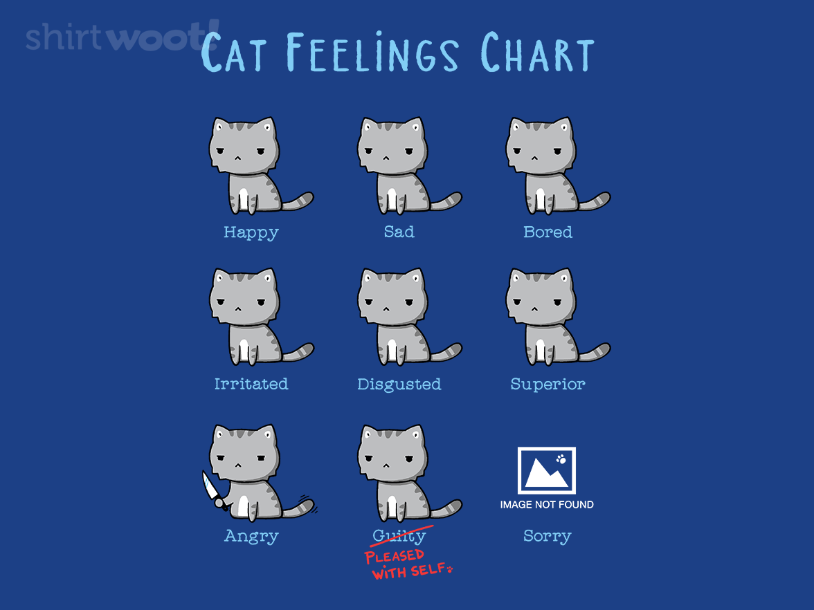 Cat Feelings Chart - Gallery 4