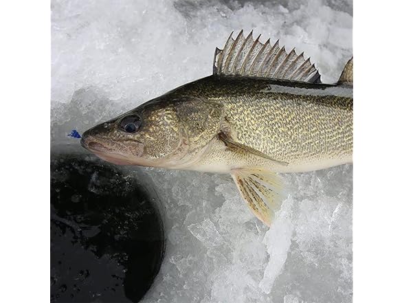 Jiatai Fishing 25Pcs Ice Fishing Jigs