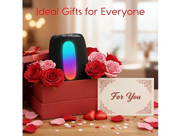 PORTBOR Portable Bluetooth Speaker