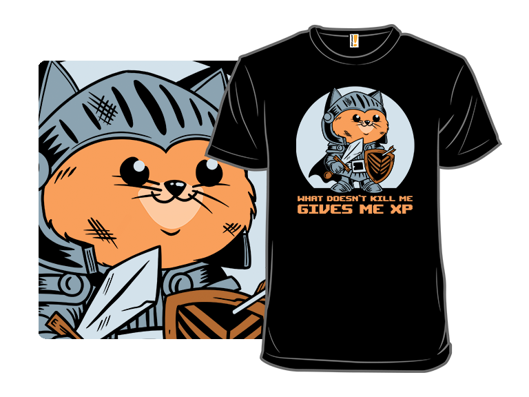 What Doesn?t Kill Me Gives Me XP Cat - Gallery 8