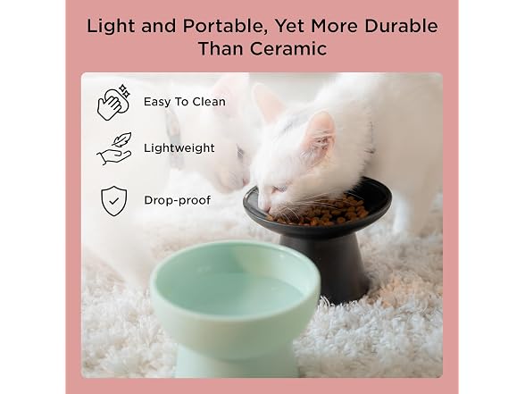 Necoichi 2pcs Elevated Cat Water Bowls, Food
