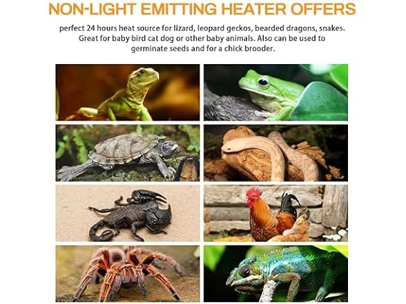 Simple Deluxe Simple Deluxe 150W 2 Pack Ceramic Heat E