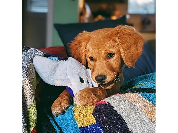 Barkbox Manny Ray Dog Toy | Plush