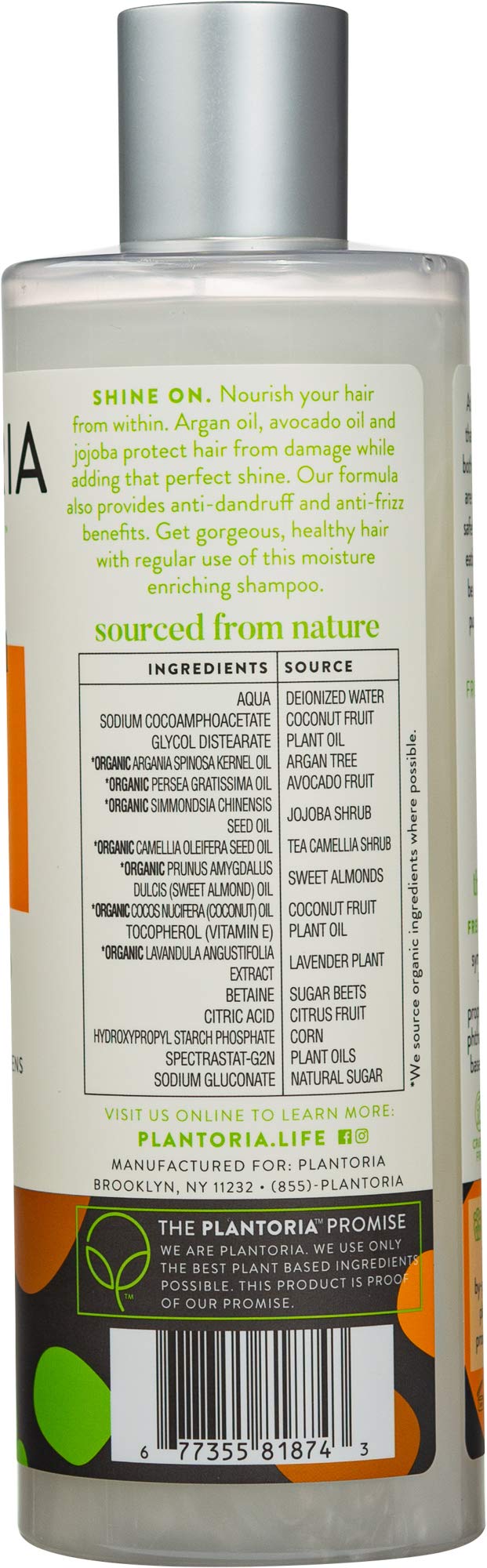 Argan Shampoo - Gallery 7
