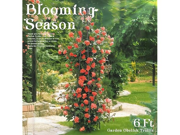 Hsundries 6FT Obelisk Trellis
