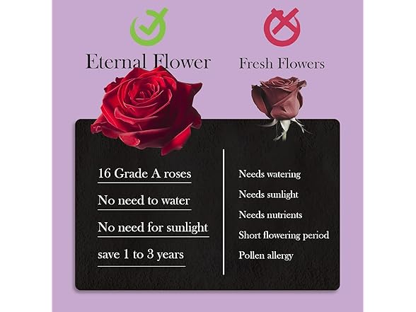 Otuo 40 Real Preserved Roses in Suede