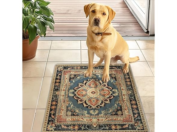 NORTHERN BROTHERS 2x3 Entry Rug