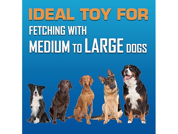 Nerf Dog Tire Flyer Outdoor Dog Toy