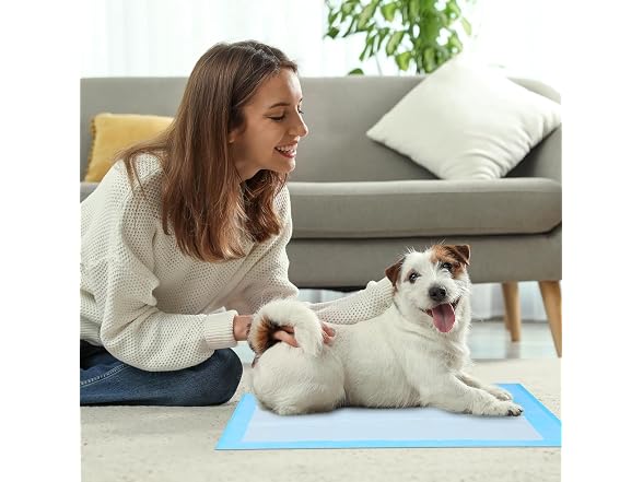 FluffyDream Super Absorbent Waterproof Dog Training Pad 80ct