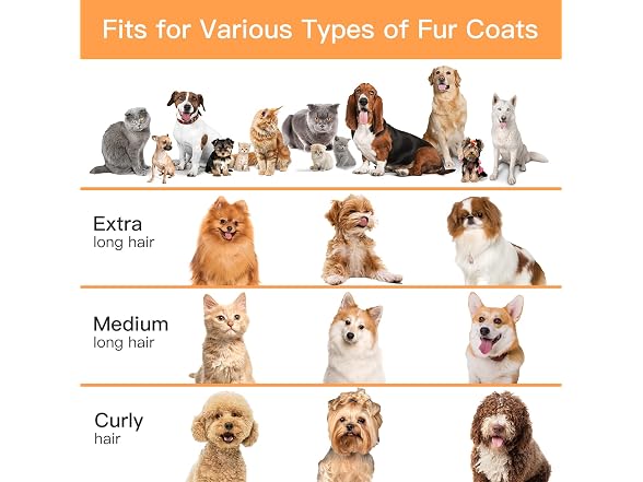 Pet Grooming Vacuum & Dog Hair Vacuum