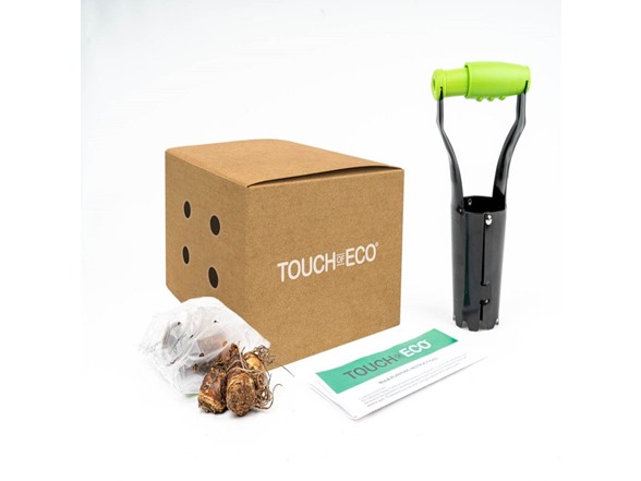 Colorful Mixed Freesia Flowers - 90 Bulbs and Planting Tool