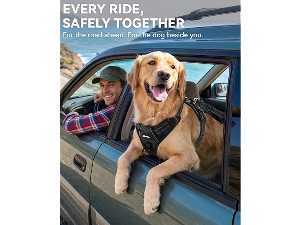 Joytale 3-in-1 Bungee Dog Seat Belt