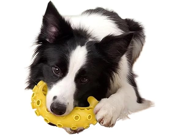 Quikora Pets-23 Durable Dog Chew Toy