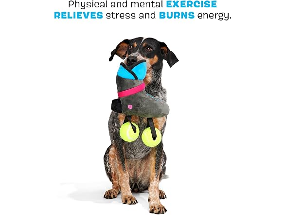 Barkbox Way Rad Rollerblade Dog Toy | Plush - Gallery 3