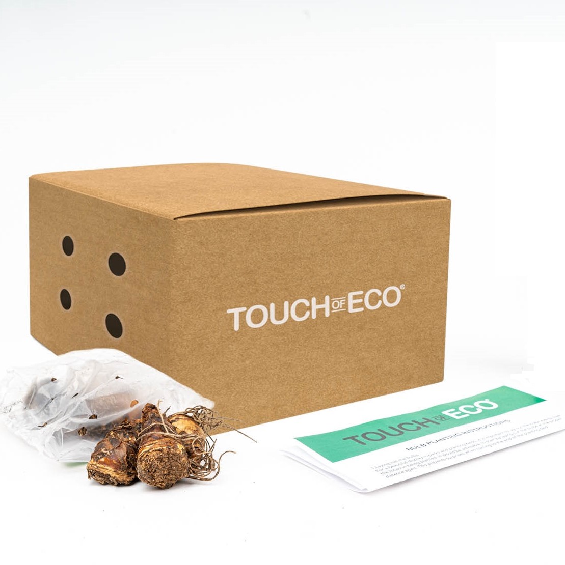 Mixed Freesia Flowers - Gallery 10