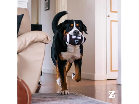 SportsBallz Football