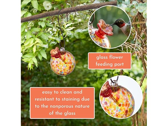 Red Carpet Hummingbird Feeder Multicolor