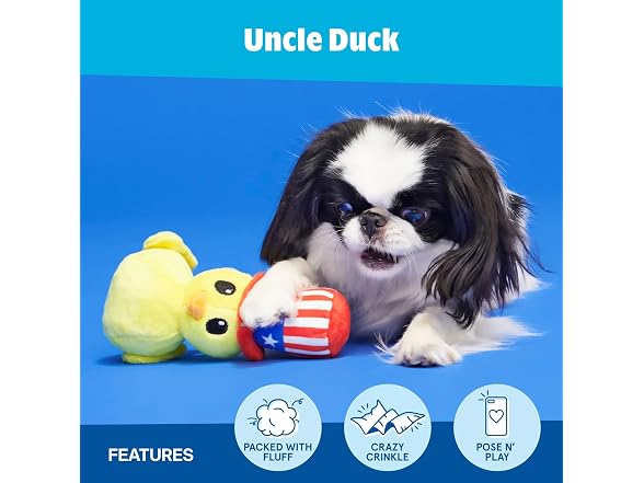 BarkBox Uncle Duck Dog Toy