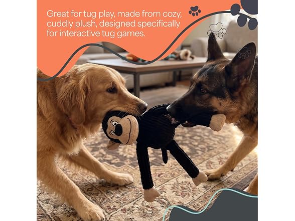 Bow Wow Pet 2 Pack Plush Dog Toy with Squeaker & Crinkle