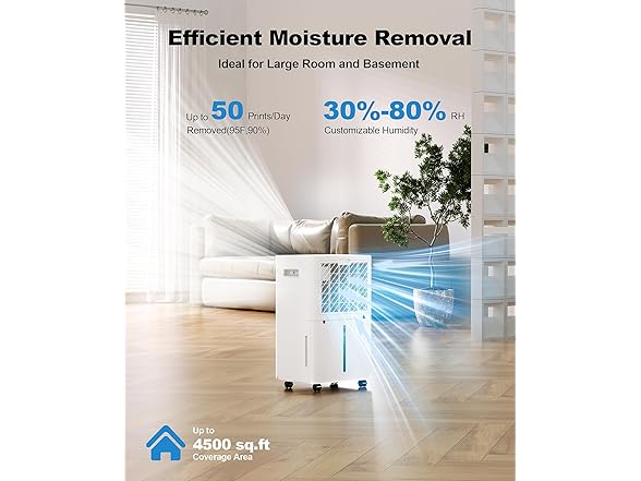 Lienuis Dehumidifier for Basement