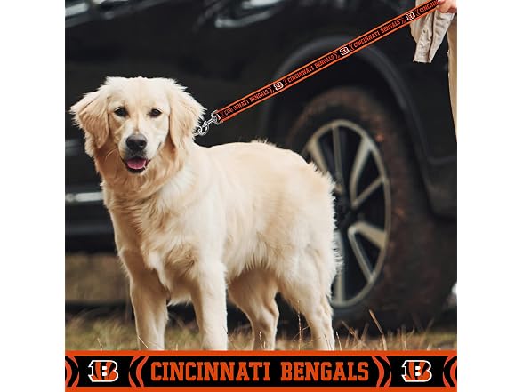 Pets First NFL PET Collar Cincinnati Bengals Dog