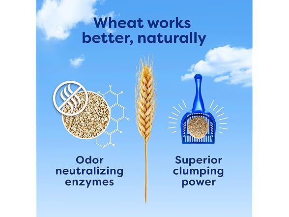 sWheat Scoop Natural Wheat Multi-Cat Litter