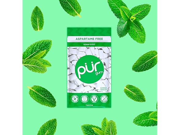 1PK PUR Gum | Aspartame Free Chewing Gum