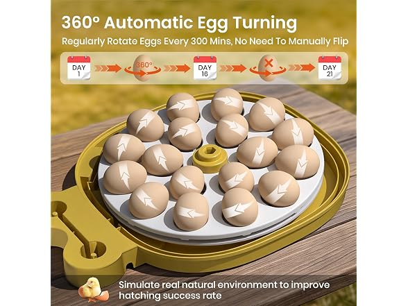 Egg Incubators For Hatching Eggs