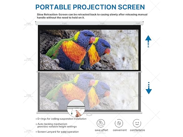 ProHT 84" Manual Projection Screen