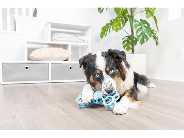 Chuckit! Holee Roller Dog Treat Puzzle Bone, Large