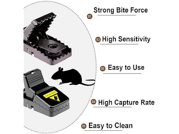 Mouse Trap Indoor 12pk