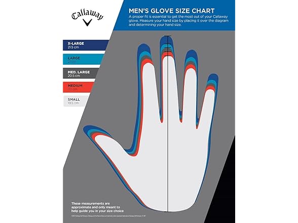 Callaway Golf 2020 Tour Right Hand Glove (XL)