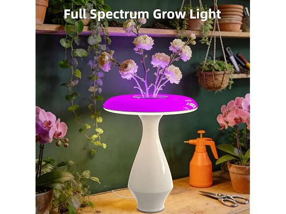 Honey Tour Ceramic Table Lamp
