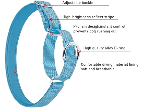 Reflective Martingale Dog Collar