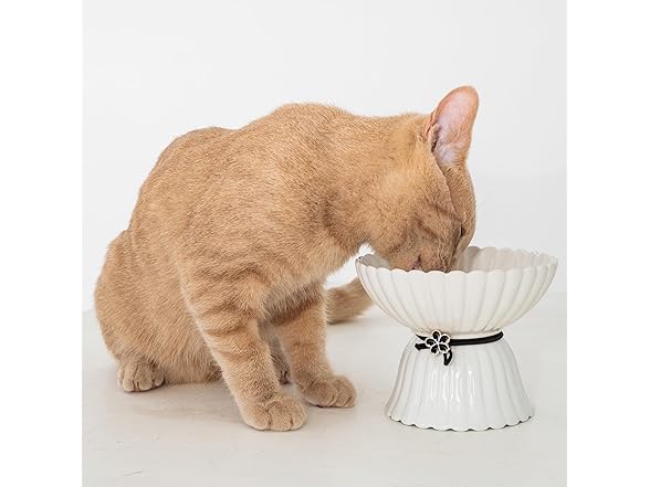 Dexypaws: Elevated Ceramic Bowl for Cats