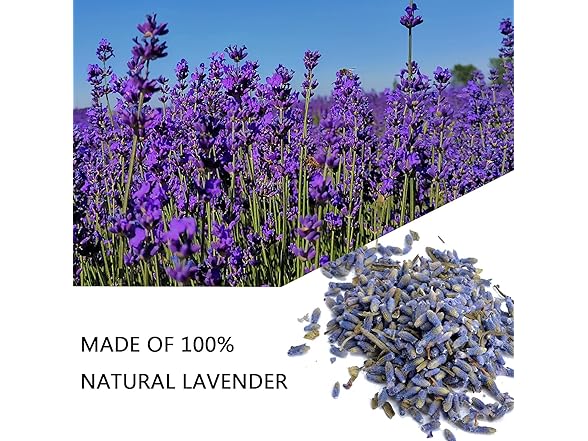 RENM 1 Pound Dried Lavender Buds