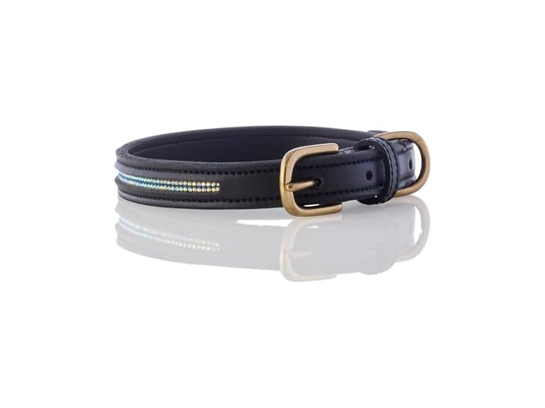 Roxy - The Crystal Bling Collar, Durable Vegan Leather with Brass & Crystals Pet Collars, Small, Medium, Large Dogs​​, Black, XX-Large (29")