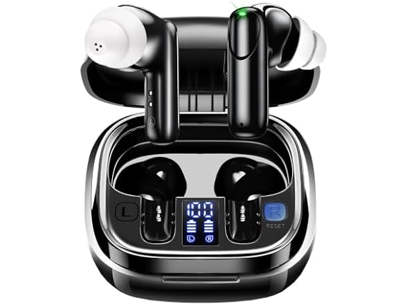 Digital Hearing Aids With Cleaner