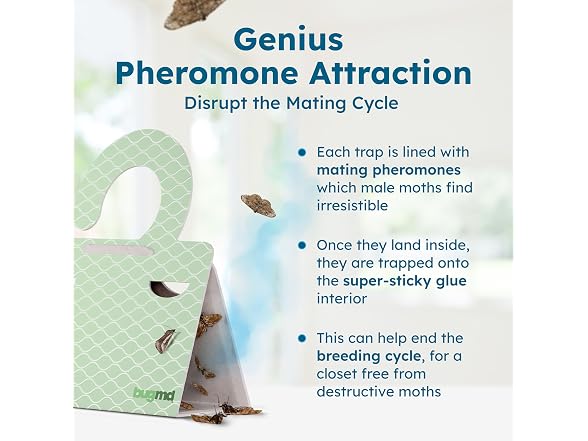 BugMD Moth Traps with Sticky Glue, 6 Count