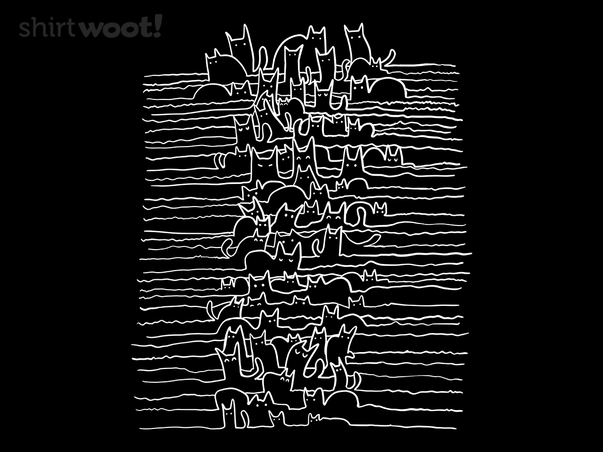 Cat Joy Division - Gallery 4