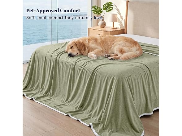 PHF Oil Green Cooling Blanket Queen 90"x90"