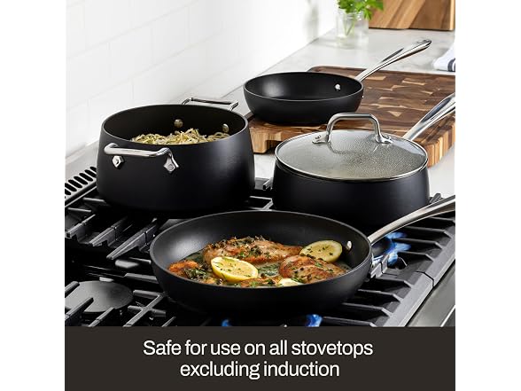 All-Clad HA1 Expert Hard Anodized Nonstick Roasting Pan