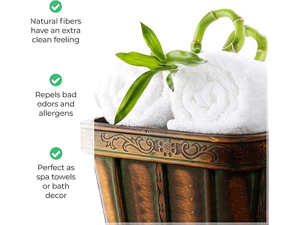 Superior SERA Rayon from Bamboo Blend Towel Set