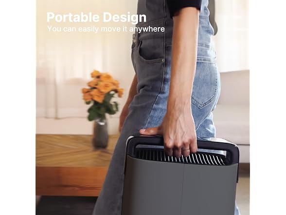 MERONTE MR7566 Air Purifiers for Home