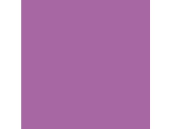 Vera Bradley Clear Cosmetic, Iris Orchid