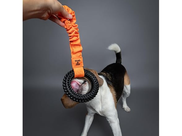 NOAH & PAW Luxury Dog Toy, TPU- Tug Ring, Black