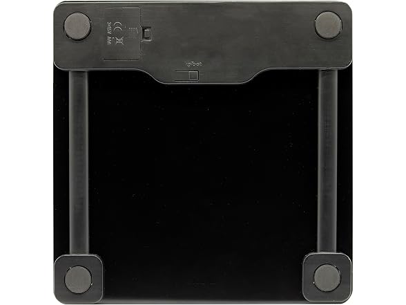 Taylor Digital Brushed Stainless Steel Scale