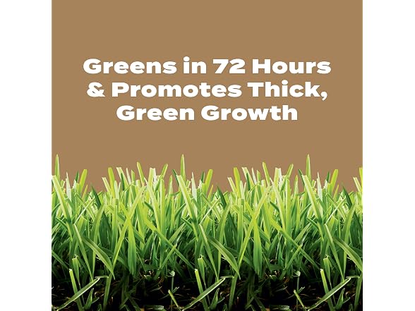 Scotts Turf Builder Weed & Feed