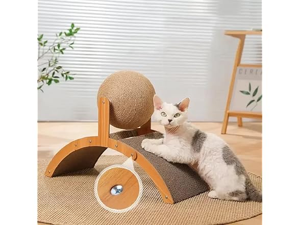 Vertical Arched Cat Claw Ball